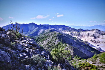 Click for larger image